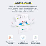 Basepaws Dog DNA Testing Kit - 330+ Breeds, 280+ Health Risks, and 30+ Traits - Comprehensive Mixed Breed Identification, Pet DNA Test kit, Canine Genetic Ancestry and Heritage