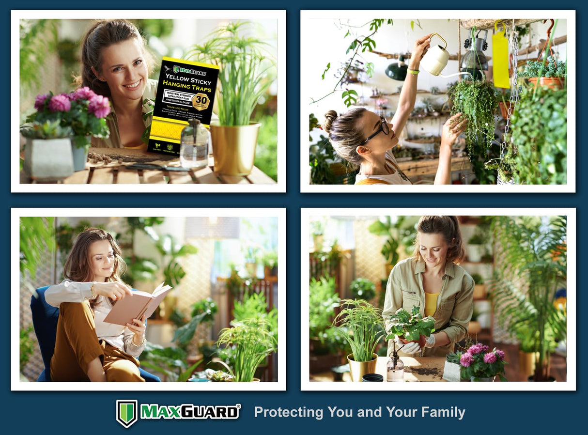 MaxGuard (20 Pack) Yellow Sticky Hanging Traps - Catch and Kill Fungus Gnats, Whiteflies, Mosquitos, Aphids, Leaf Miners, Flying Insect Catcher Glue Trappers for Indoor or Outdoor