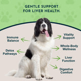 Animal Essentials Liver Defense for Dogs & Cats - Liver Support, Milk Thistle, Dandelion, Liquid Supplement, Detox Blend, Liver Cleanser - 2 Fl Oz