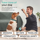 Calming Chews for Dogs Anxiety Relief - Hemp Calming Chews for Dogs with Valerian Root, Hemp Seed Oil, Turmeric, L-Theanine - Soft Treats for Storms, Fireworks, Separation, Vet Visits, Grooming
