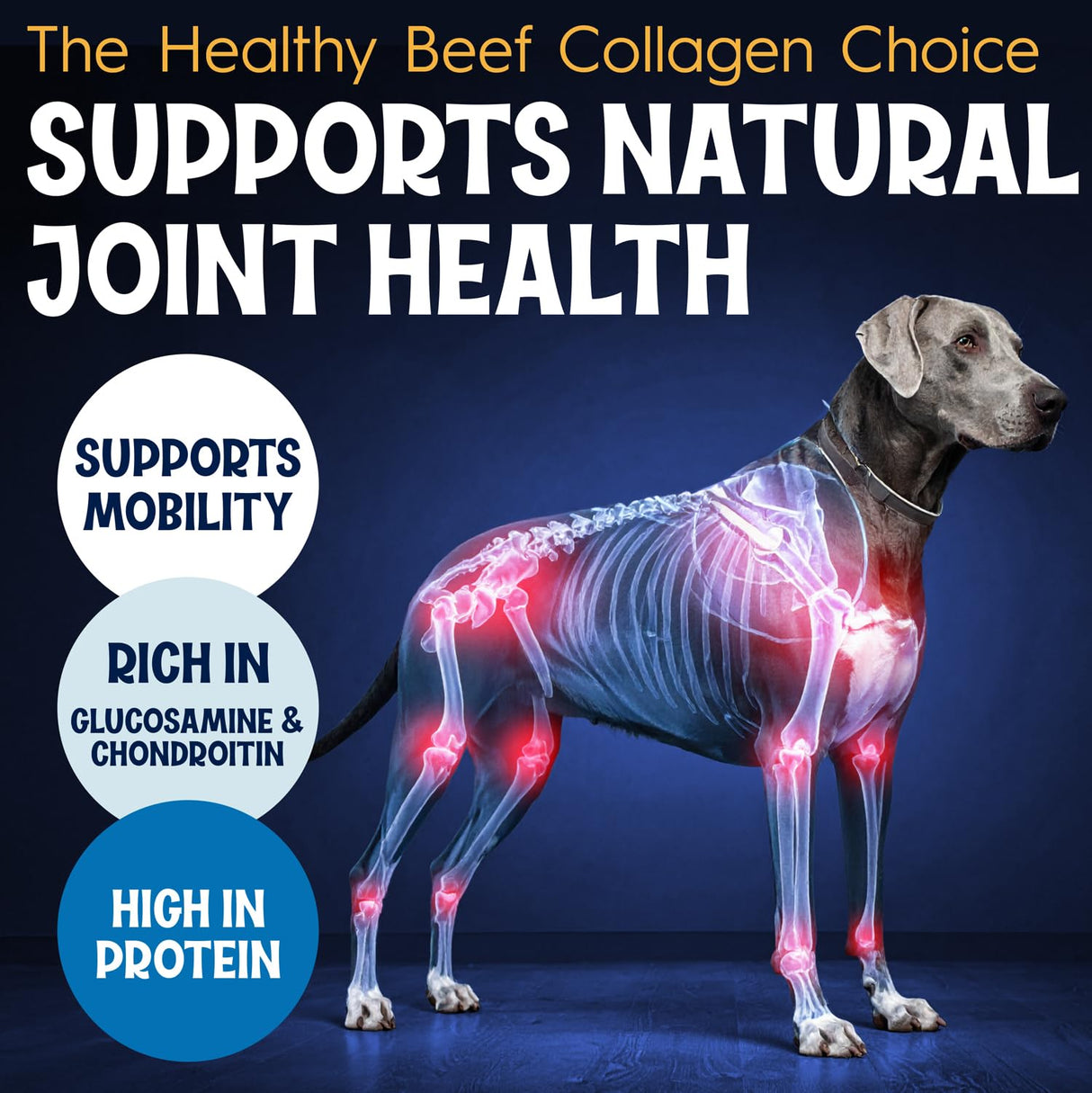 Fetcheroni 12" Collagen Sticks for Dogs – Low Odor Long-Lasting Bully Stick & Rawhide Alternative, Single Ingredient Beef Bone, High Protein Dental Treat, Vet Approved, Improves Joint Health – 10 Pack