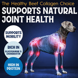 Fetcheroni 12" Collagen Sticks for Dogs – Low Odor Long-Lasting Bully Stick & Rawhide Alternative, Single Ingredient Beef Bone, High Protein Dental Treat, Vet Approved, Improves Joint Health – 10 Pack