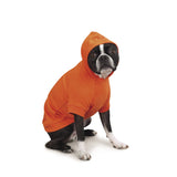 Zack & Zoey Basic Hoodie for Dogs, 8" X-Small, Vibrant Orange