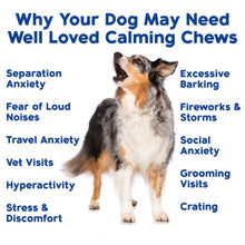 Load image into Gallery viewer, Well Loved Calming Chews for Dogs - Dog Calm Treats, Made in USA, Vet Recommended, Behavior Support with Melatonin &amp; Hemp, Stress, Separation, Fireworks, Travel, Extra Strength
