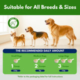 Pupzle Dog Teeth Cleaning Powder for Fresh Breath, Dog Dental Powder, Tartar & Plaque Focused, Natural Breath Freshener, Pet Dental Supplement with Probiotics for Gut Health, Mint, 60 Days Supply