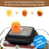 MATICOOPX 30 Egg Incubator with Humidity Display, Egg Candler, Automatic Egg Turner, for Hatching Chickens