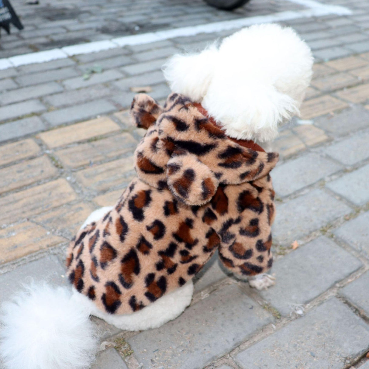 Winter Dog Dress Dog Winter Coat for Small Dogs Girl Dog Hoodie Dresses for Chihuahua Yorkie Teacup Pet Coat Dog Christmas Outfit