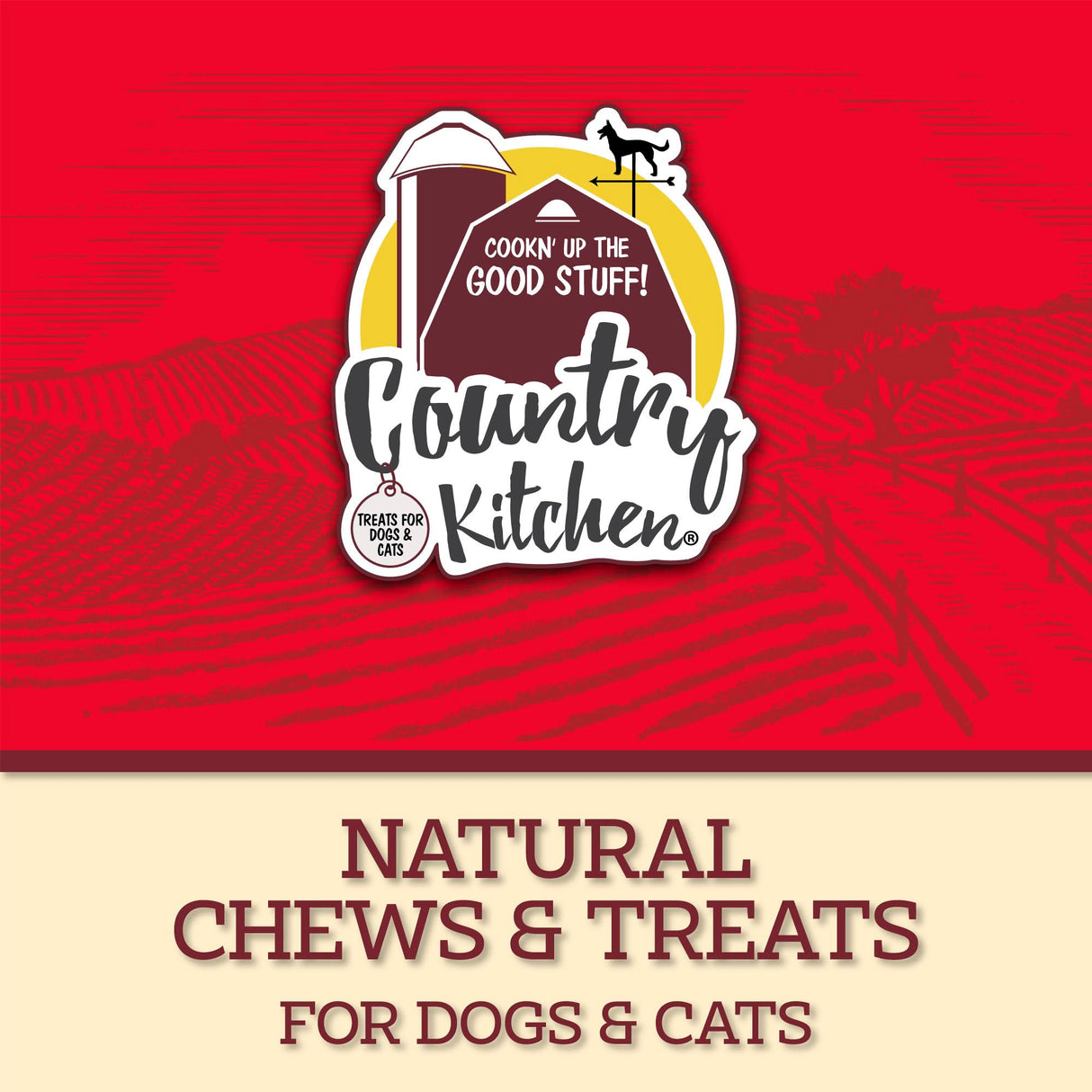 Country Kitchen Duck Jerky Tender Dog Treats, Made with Real Duck, High Protein, Low Fat, No Artificial Colors, 16 oz