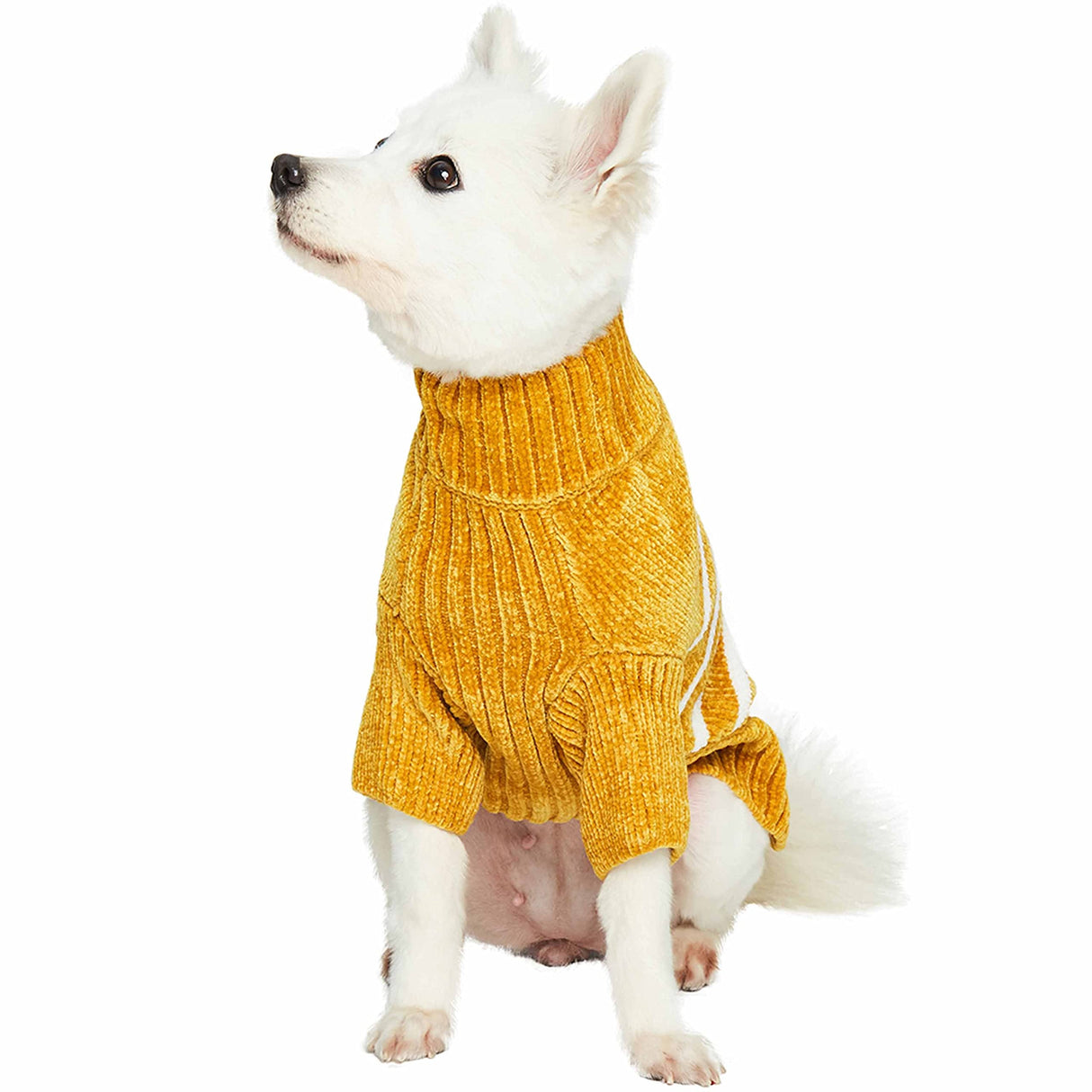 Blueberry Pet Cozy Soft Chenille Classy Striped Dog Sweater in Mustard, Back Length 18", Pack of 1 Clothes for Dogs