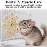 Jevnd 2pcs Rotating Natural Wood Chinchilla Chew Toys for Teeth, Interactive Enrichment Toys, Hanging Exercise Chinchilla Toys for Cage for Playtime, Spinner Cage Accessories Wheel