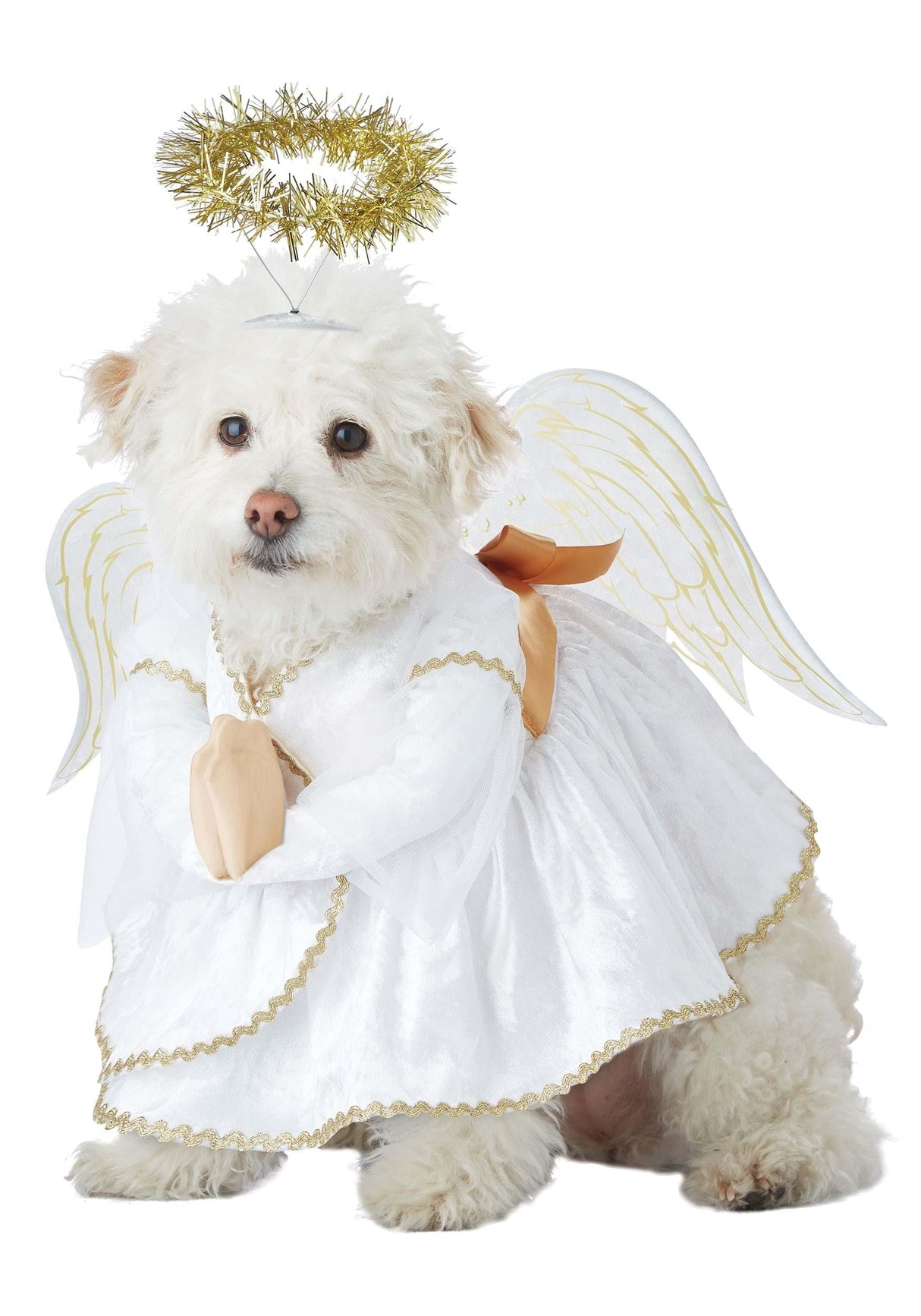 California Costumes Heavenly Hound Pet Costume Small