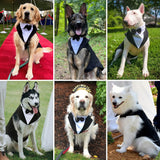 Tuxedo & Bandana Set, 2 Pack Pet Costume: Puppy Formal Party Suit - Dog Clothes for Small, Medium & Large Dogs - Prince Bow Tie Shirt - Wedding Attire for Golden Retriever & Samoyed (S)