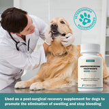 Blood Support for Dogs, Yunan Sanqi Capsules for Dogs for Hemangiosarcoma, Hemoabdomen, Pericardial Effusion, Cancer Bleeding, Severe Bruising, Ulcer-Related Bleeding, Bloody Stools - 60 Capsules