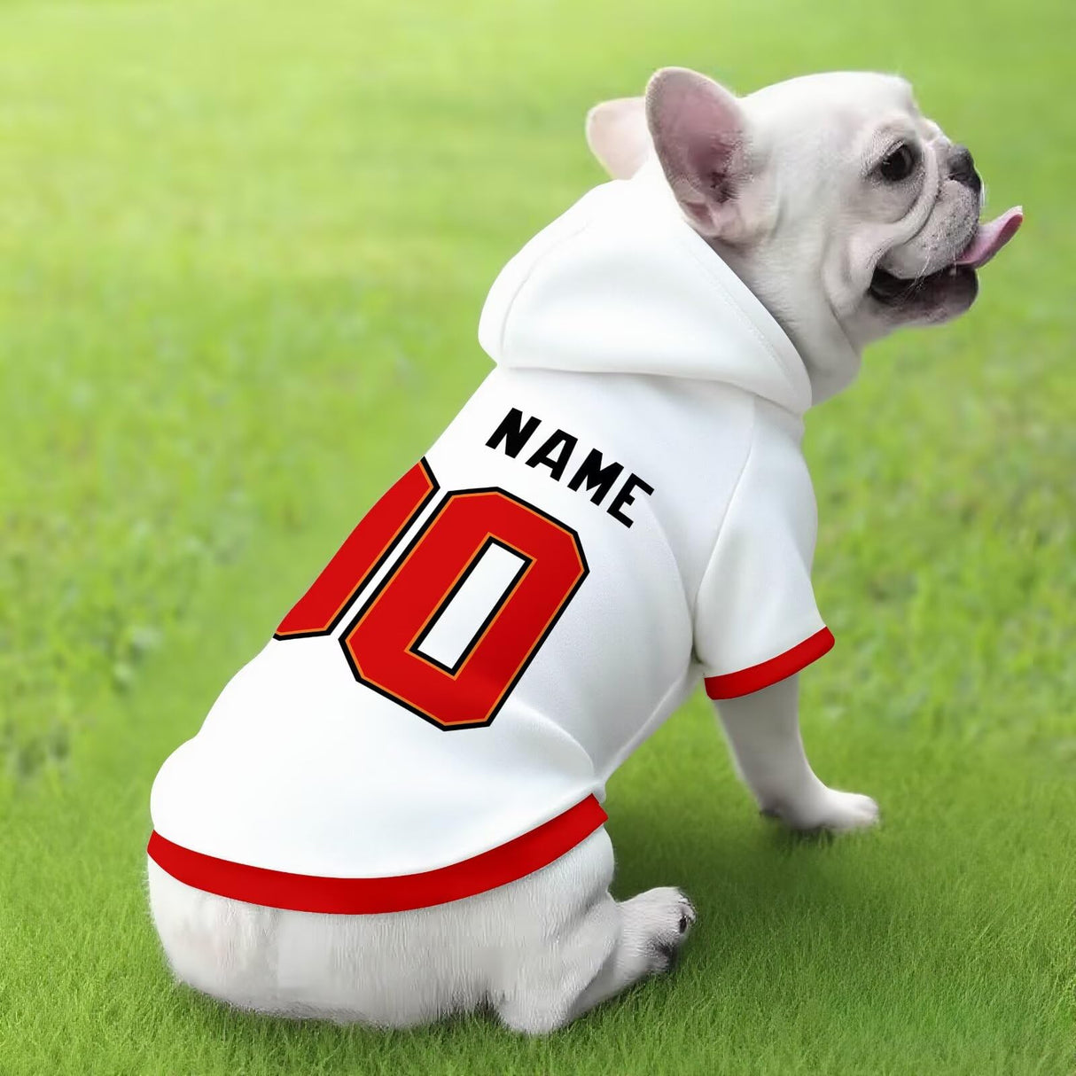 ANTKING Tampa Dog Hoodie T-Shirt Jersey Pet Clothes Custom Name and Number Gifts