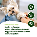 Probiotic Chews for Dogs Gut Health | Tasty Pre and Probiotics for Dogs Digestive Health with Pumpkin Dog Probiotics and Digestive Enzymes | NASC Certified & Made in The USA | 60 Chews