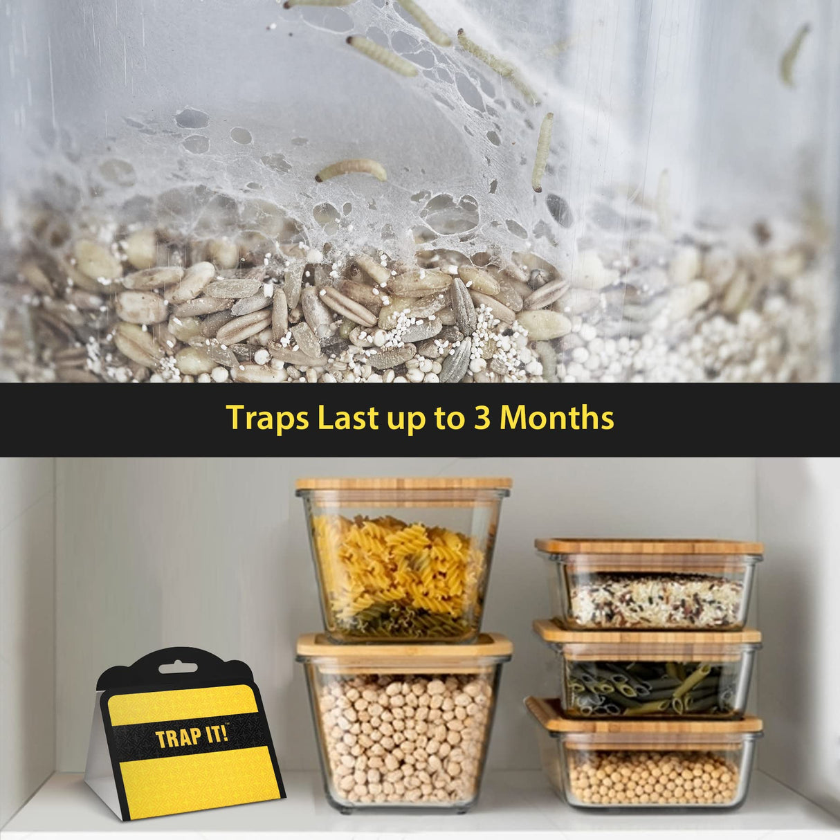TRAP IT! Pantry Moth Traps, 10 Pack Sticky Glue Trap Indoor with Pheromones to Attract an