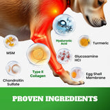 Dog Hip & Joint Supplement Chews with Glucosamine & Chondroitin – Joint Support for Senior & Large Breed Dogs, Helps Mobility & Flexibility – 120 Ct