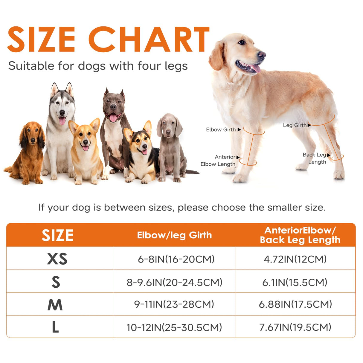 Jorme Dog Knee Brace for Torn ACL, Dog Leg Brace for Post-Surgery Recovery, Arthritis & Luxating Patella,Side Stabilizers, Breathable Neoprene, Adjustable Velcro & Belly Band,Front/Rear Legs (L)