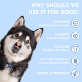 Quercetin + Bromelain for Dogs – Immune & Allergy Support Supplement, Inflammatory Relief, Antioxidant Formula, 120 Beef-Flavored Chewable Tablets