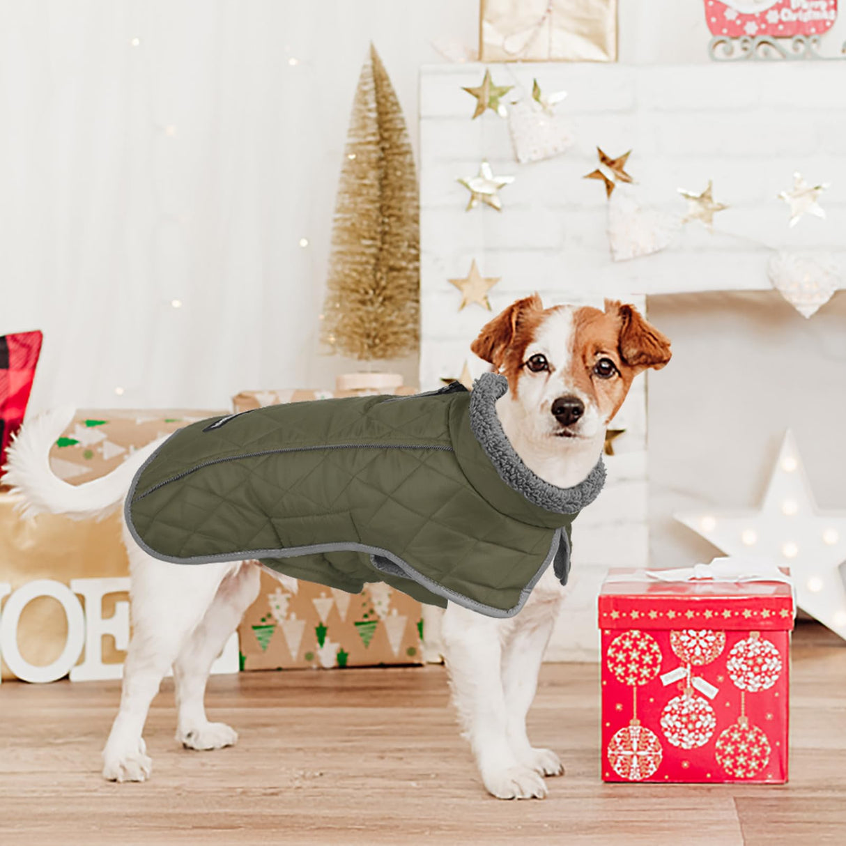 Fragralley Dog Coat Medium, Waterproof Dog Jacket with Warm Fleece Lining, Adjustable Reflective Dogs Winter Coat, Turtleneck Pet Coats for Cold Weather (ArmyGreen M)