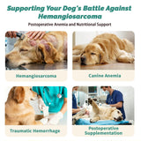 Yunnan Sanqi Blood Support Capsules for Dogs - 90 Capsules for Hemangiosarcoma, Hemoabdomen, Pericardial Effusion, Cancer Bleeding, Severe Bruising, Ulcer Bleeding & Bloody Stools