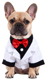 Black, White, Blue Dog Shirts for Wedding, Puppy Tuxedo, Dog Formal Wear, Doggie Tux, Suit and Tie Costume White Small
