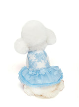 Dog Lace Gold Glitter Dress Princess Tutu Skirt for Small and Medium Girl Dogs Pet Birthday Wedding Bride Party Photography Christmas Halloween (Blue,X-Large)