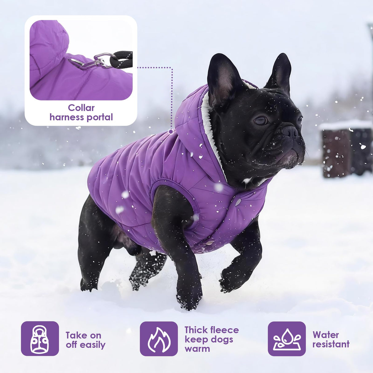 Windproof Waterproof Dog Coat Fleece & Cotton Lined Warm Jacket, Cold Weather Pet Apparel Clothes Vest for Small to Large Dogs (L, Purple)