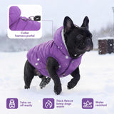 Windproof Waterproof Dog Coat Fleece & Cotton Lined Warm Jacket, Cold Weather Pet Apparel Clothes Vest for Small to Large Dogs (L, Purple)