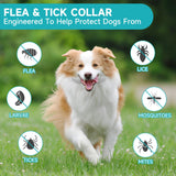 Flea and Tick Prevention for Dogs, 4 Pack Flea Collar for Dogs, Dog Flea and Tick Treatment, 32 Months Protection, Waterproof, Adjustable Collar for Dog, One Size Fits All for All Breeds, Grey