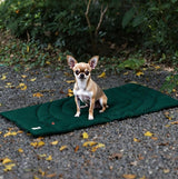 Travel Dog Bed | Camping Dog Bed | 37.4"x25.6" Waterproof Outdoor Dog Mat | Portable Place Mat for Dogs with Handle | Machine Washable | Easy Clean for Outdoor Adventures (Brown)