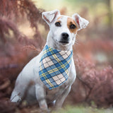 PET SHOW 50 Pack Bulk Plaid Cotton Dog Bandanas Small Female Male Cat Puppies Bibs Washable Triangle Head Scarfs Wholesale Medium Dogs Bandana Photo Prop Grooming Accessories