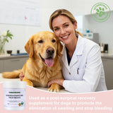 Quick Stop Bleeding for Dogs, Natural Yunnan Sanqi Powder for Hemangiosarcoma, Hemoabdomen, Pericardial Effusion, Cancer Bleeding, Severe Bruising, Ulcer-Related Bleeding, Bloody Stools - 60g