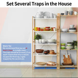 LULUCATCH Super Glue Traps for Mice & Snakes, Larger, Heavier Sticky Traps with Non-Toxic Glue. Sticky Mouse Traps Indoor, Easy to Se (20 Pac)