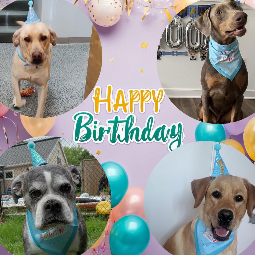 Zaabaazina Dog Party Supplies - Blue Dog Bandana, Birthday Hat, Banner, Balloons for PAWTY & WOOF Decorations