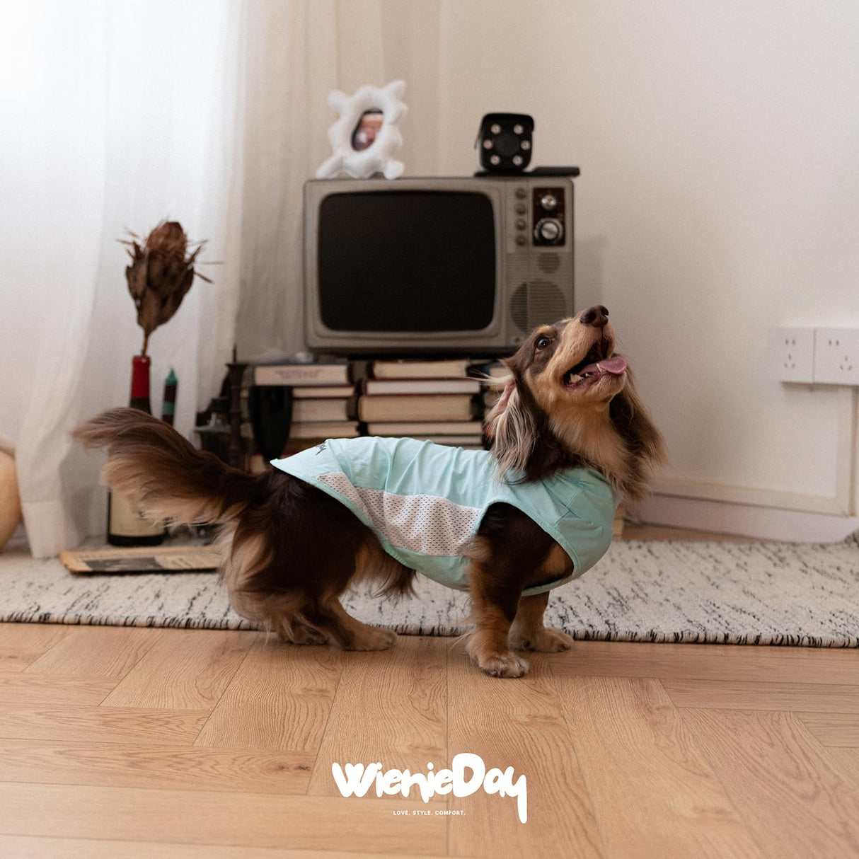 WienieDay Dachshund Dog Cooling Vest, Breathable Summer Dog Cooling & Quick-Dry Shirt for Outdoor Activities,Mini Dachshund Lightweight Clothes, Vest Small Dogs (Blue, L(16-22 lbs))