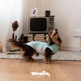 WienieDay Dachshund Dog Cooling Vest, Breathable Summer Dog Cooling & Quick-Dry Shirt for Outdoor Activities,Mini Dachshund Lightweight Clothes, Vest Small Dogs (Blue, L(16-22 lbs))