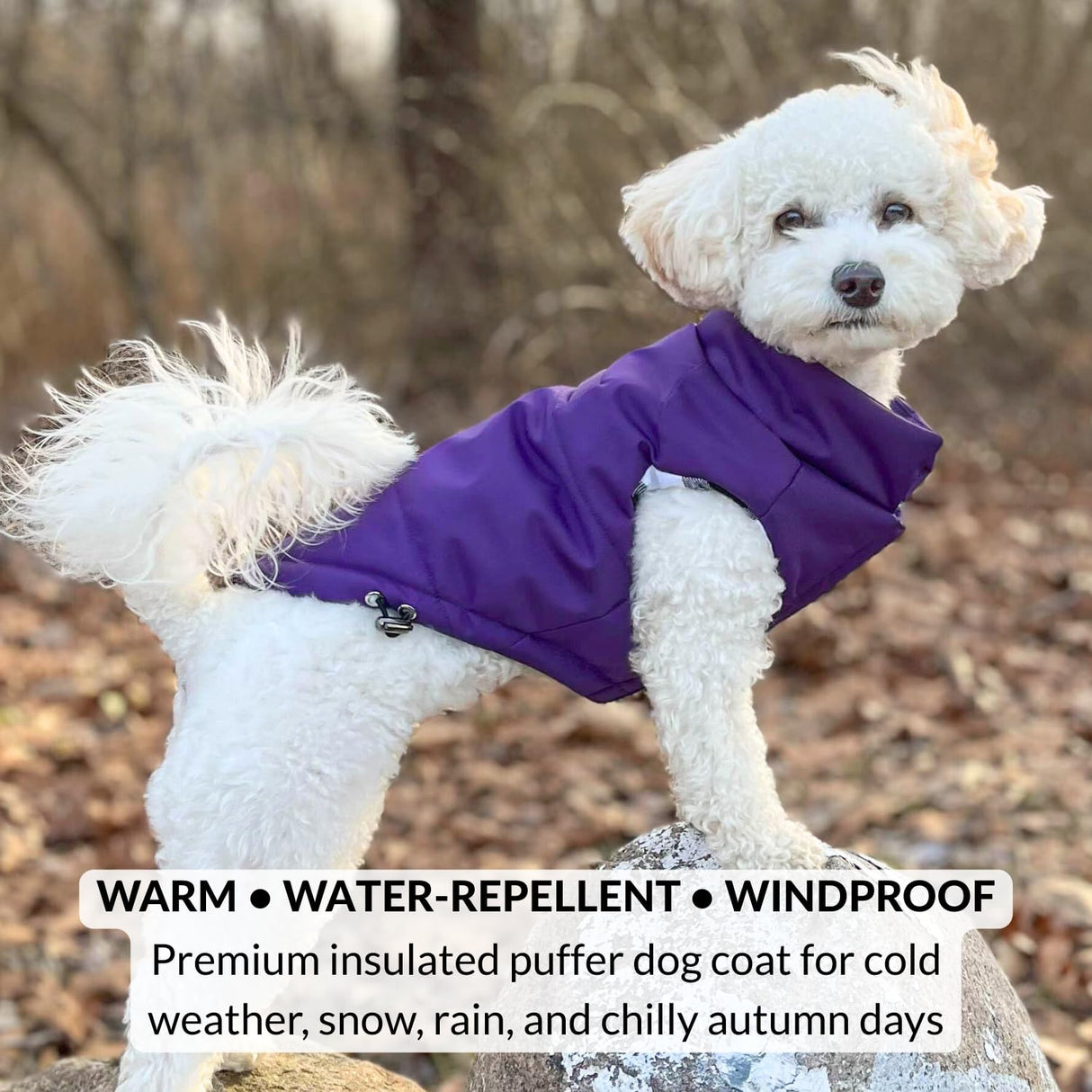 DJANGO Reversible Puffer Dog Coat – Warm Winter Dog Jacket & Water-Repellent Insulated Dog Coat w/Harness Hole, Windproof, Adjustable Fit for Small & Medium Dogs, Dachshunds – Violet Purple, Large