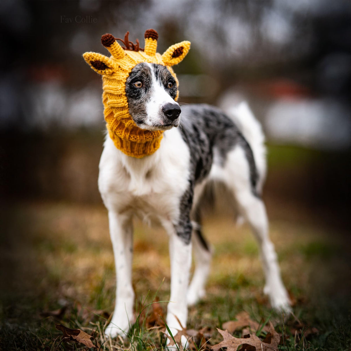 Zoo Snoods Giraffe Costume - Knit Dog Snood Ear Wrap for Pets, Warm Neck Cover for Halloween and Winter (Large)