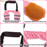 PetWarm Dog Front Leg Sleeve, Adjustable Dog Elbow Sleeves with Reflective Strips, Anti-Licking Soft Recovery Sleeve for Dogs, Waterproof Front Leg Protection for Large Dogs, Pink, XL