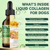 Liquid Collagen for Dogs, Natural Dog Collagen for Skin & Coat Support, Immune Support, Joint & Mobility Care with MSM, Middle-Aged and Older Dogs (Bacon Flavor - 60ml 2 Pack)