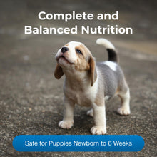 Load image into Gallery viewer, Pet-Ag PetLac Powder for Puppies - 10.5 oz - Puppy Milk Replacement Powder for Puppies Newborn to Six Weeks Old - Easy to Digest

