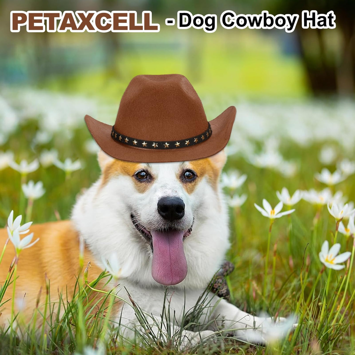 PETAXCELL Dog Cowboy Hat, Mini Cowboy Hat for Pet with Chin Strap Adjustable Cosplay Cap, (Red, M), Intended for Dogs and Cats/Halloween Costume/Party Decoration