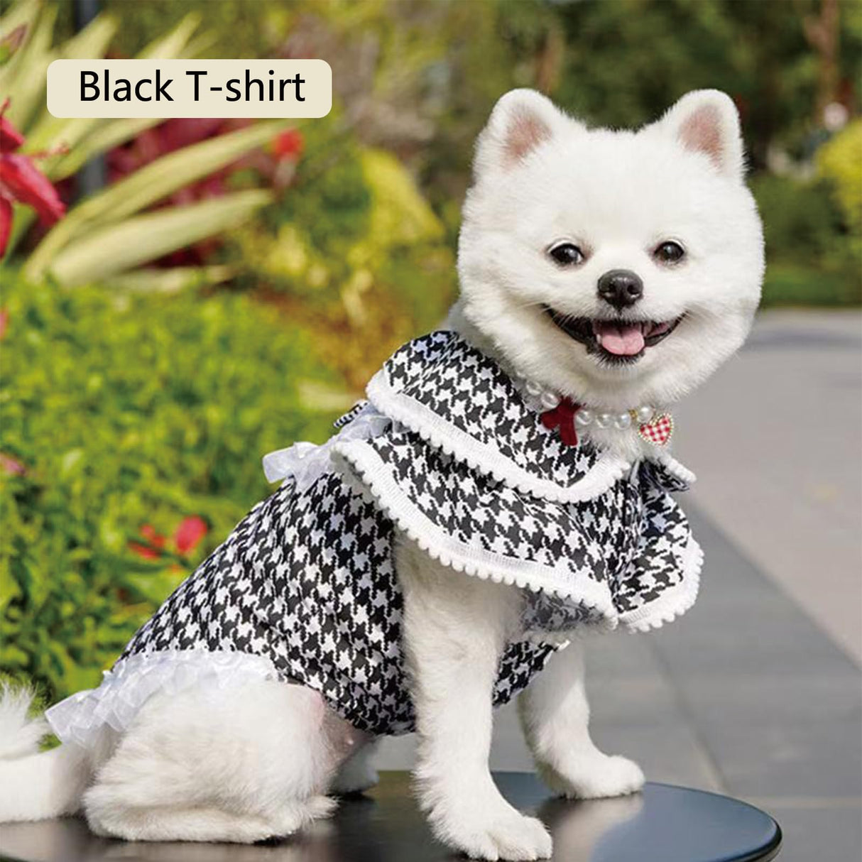 Dog Clothes Dog Dresses, Cute Puppy Dresses Pet Cat Princess Bowknot Clothes Cute Puppy Summer Outfits for Medium and Small Dogs Cat Girls (Black T-Shirt, X-Small)