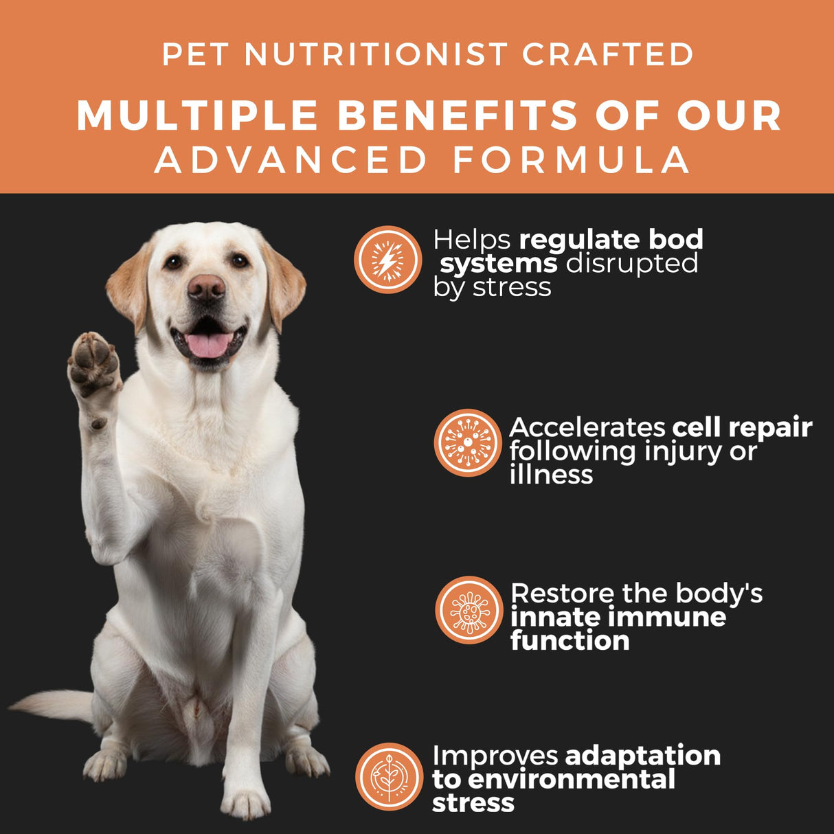 Pet Chef Turkey Tail Mushroom Chews for Dogs 7 Mushroom Blend with Lion’s Mane, Reishi, Maitake, Milk Thistle & Ginger Root for Immune, Gut & Detox Support, 140 Soft Chews (Natural & Organic)