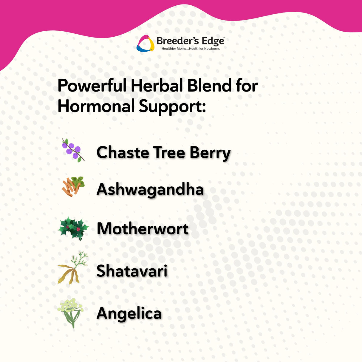 Breeder’s Edge Problem Female, Hormonal Support Supplement for Female Dogs & Cats, Natural Herbal & Amino Acid Blend to Support Reproductive Balance & Pregnancy Maintenance, Pork Liver Flavor, 454g