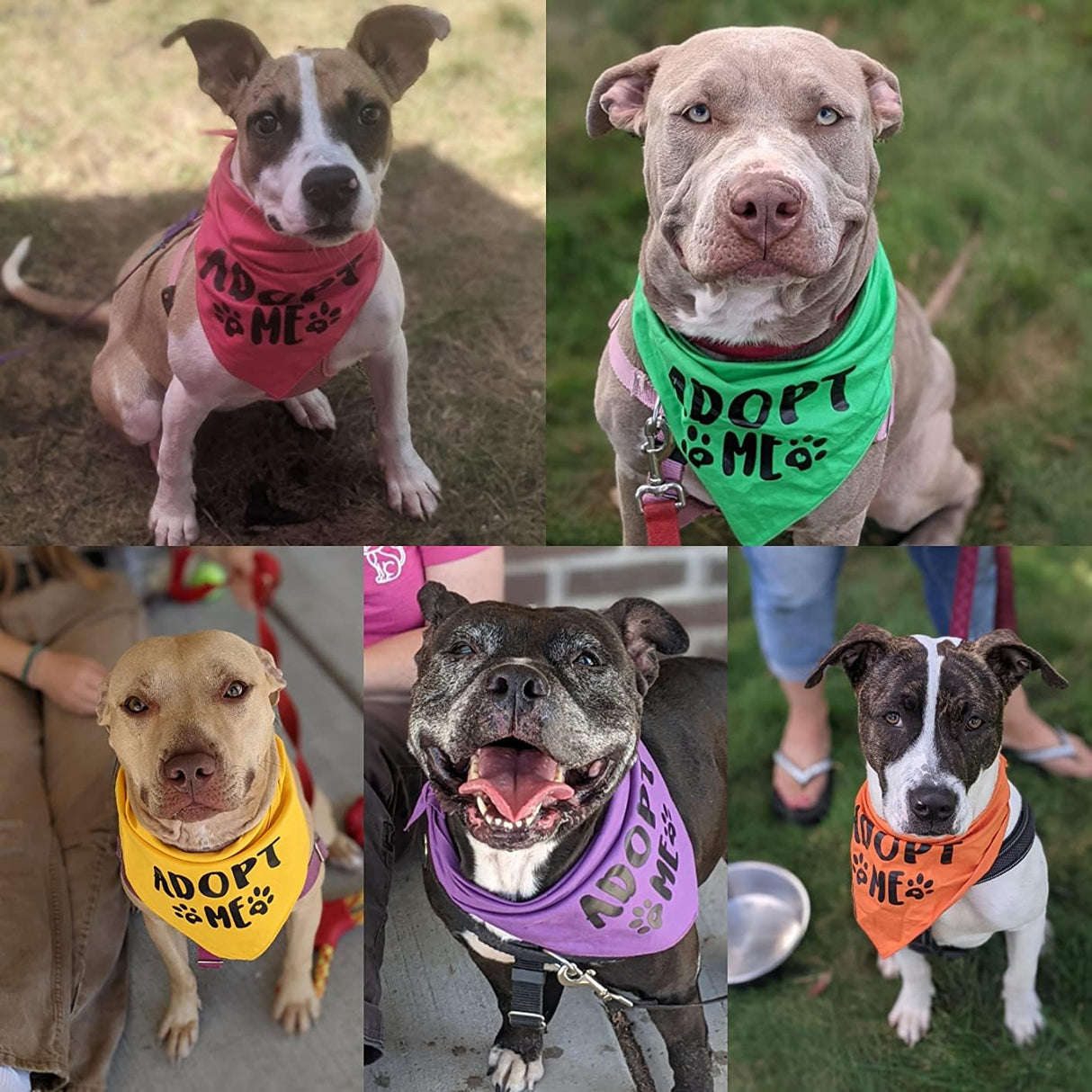 Adopt Me Bandana,5 Pack Adopt Me Bandanas for Dogs