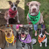 Adopt Me Bandana,5 Pack Adopt Me Bandanas for Dogs