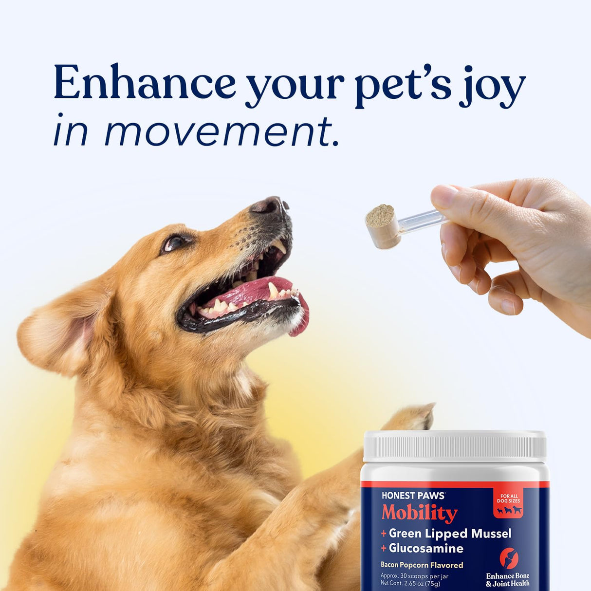 Honest Paws Glucosamine for Dogs – Joint & Mobility Supplement Powder with Green Lipped Mussel, Fish Oil & MSM – Supports Hip & Joint Health, Support Stiffness, Dog Supplies