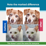 TERRAPET Visiopet Pet Eye Drops - Eye Drops for Dogs and Cats Vet-Recommended Dog Eye Infection Treatment to Soothe Infection Allergy,Relieve Dry Eyes Pink Eyes, Pet Tear Stain Cleaner 1/8 oz /5 ml